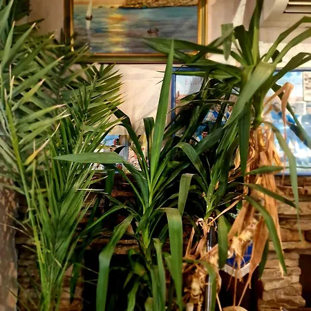 Family Four Seasons Hotel Țarevo